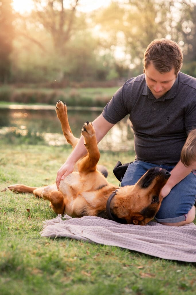 A man laughing as he gives a large dog a belly rub on a blanket by a river at golden hour